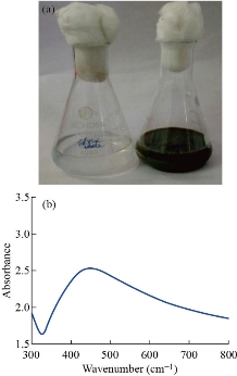 D:\xwu\Nano Biomedicine and Engineering\Articles for production\排版\2020\2020 12(3)\【10 修改中】NBE-2020-0018.（2020-9-18）\排版\272-280\nkt2.jpg