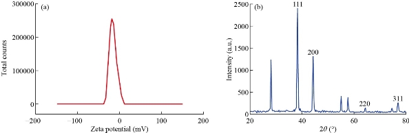 D:\xwu\Nano Biomedicine and Engineering\Articles for production\排版\2020\2020 12(3)\【10 修改中】NBE-2020-0018.（2020-9-18）\排版\272-280\nkt4.jpg