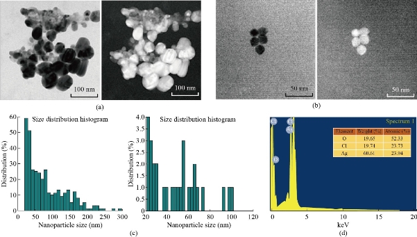 D:\xwu\Nano Biomedicine and Engineering\Articles for production\排版\2020\2020 12(3)\【10 修改中】NBE-2020-0018.（2020-9-18）\排版\272-280\nkt5.jpg