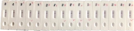 D:\xwu\Nano Biomedicine and Engineering\Articles for production\排版\2020\special issue\【3】0097\publishing\306-310\jtt4.jpg