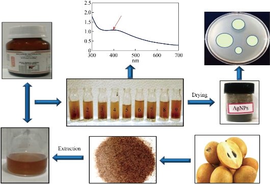 D:\xwu\Nano Biomedicine and Engineering\Articles for production\排版\2020\2020_12(4)\【2】2020-0038\publishing\281-296\snnt1.jpg