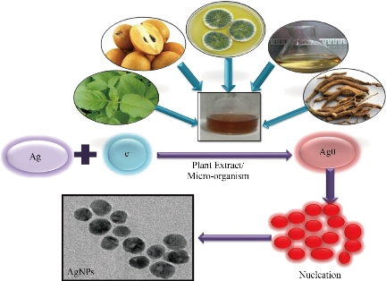 D:\xwu\Nano Biomedicine and Engineering\Articles for production\排版\2020\2020_12(4)\【2】2020-0038\publishing\281-296\snnt2.jpg