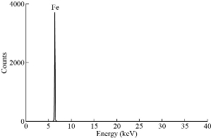 D:\xwu\Nano Biomedicine and Engineering\Articles for production\排版\2020\2020_12(4)\【9】NBE-2020-0004\publishing\338-350\sit5.jpg