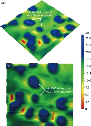 D:\xwu\Nano Biomedicine and Engineering\Articles for production\排版\2020\2020_12(4)\【9】NBE-2020-0004\publishing\338-350\sit10.jpg