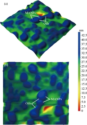 D:\xwu\Nano Biomedicine and Engineering\Articles for production\排版\2020\2020_12(4)\【9】NBE-2020-0004\publishing\338-350\sit11.jpg