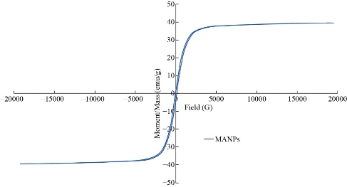 D:\xwu\Nano Biomedicine and Engineering\Articles for production\排版\2020\2020_12(4)\【9】NBE-2020-0004\publishing\338-350\sit13.jpg