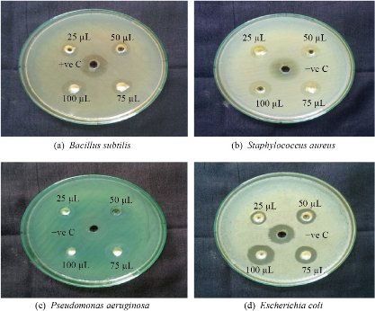 D:\xwu\Nano Biomedicine and Engineering\Articles for production\排版\2021\13(1)\【13-1-5】NBE-2020-0019(排版中)\publishing\036-043\smt5.jpg