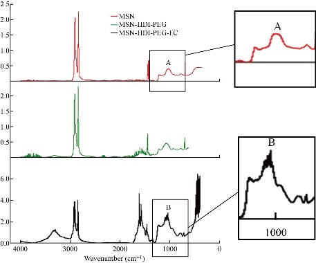 D:\xwu\Nano Biomedicine and Engineering\Articles for production\排版\2021\13（1）\【13-1-7】NBE-2020-0044（排版中）\publishing\mrl\mrlt2.jpg