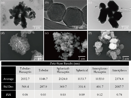 D:\xwu\Nano Biomedicine and Engineering\Articles for production\排版\2021\13（1）\【13-1-7】NBE-2020-0044（排版中）\publishing\mrl\mrlt3.jpg