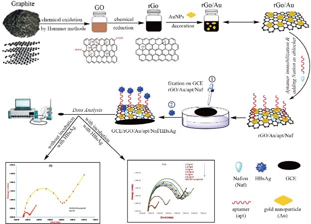 D:\xwu\Nano Biomedicine and Engineering\Articles for production\排版\2021\13(2)\【5】NBE-2020-0108（董 排版 21-5-11)\publishing\150-164\dhmt1.jpg