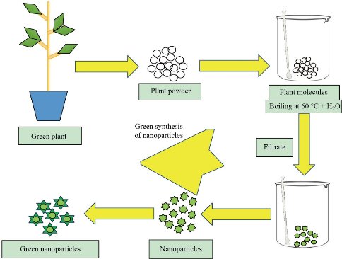 D:\xwu\Nano Biomedicine and Engineering\Articles for production\排版\2021\13(2)\【9】NBE-2020-0090 （董 排版 21-6-1）\publishing\191-206\tst1.jpg