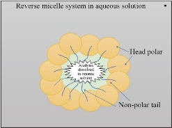 D:\xwu\Nano Biomedicine and Engineering\Articles for production\排版\2021\13(3)\【7】p264-278_NBE-2021-0045 (PDF完成 2021-9-17)\264-278\eaat2.jpg