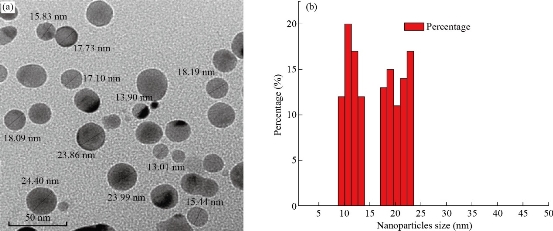 D:\xwu\Nano Biomedicine and Engineering\Articles for production\排版\2021\13（4）\【3】(364-371) NBE-2020-0082（交董排版 2021-11-30）\364-371\zsat4.jpg