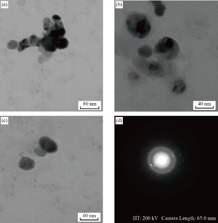 D:\xwu\Nano Biomedicine and Engineering\Articles for production\排版\2021\13（4）\【4】(372-379) NBE-2021-0036（交董排版 2021-11-30）\372-379\dmrt2.jpg