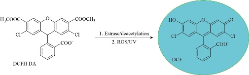 D:\xwu\Nano Biomedicine and Engineering\Articles for production\排版\2021\13（4）\【7】NBE-2021-0033 （交董排版 2021-12-16）\401-413\sart3.jpg