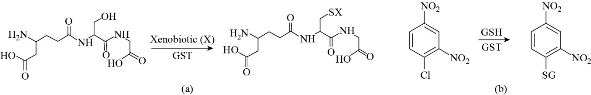 D:\xwu\Nano Biomedicine and Engineering\Articles for production\排版\2021\13（4）\【7】NBE-2021-0033 （交董排版 2021-12-16）\401-413\sart4.jpg