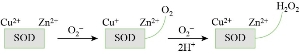 D:\xwu\Nano Biomedicine and Engineering\Articles for production\排版\2021\13（4）\【7】NBE-2021-0033 （交董排版 2021-12-16）\401-413\sart5.jpg