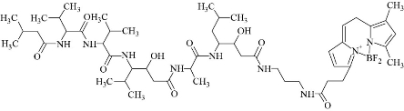 D:\xwu\Nano Biomedicine and Engineering\Articles for production\排版\2021\13（4）\【7】NBE-2021-0033 （交董排版 2021-12-16）\401-413\sart18.jpg