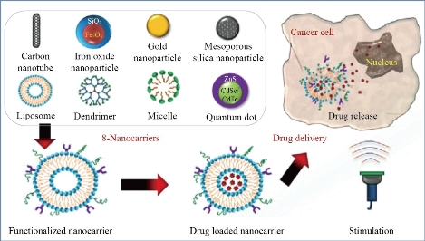 D:\xwu\Nano Biomedicine and Engineering\Articles for production\排版\2021\13（4）\【8】NBE-2021-0051 (交董排版 2021-12-16）\414-424\khat1.jpg