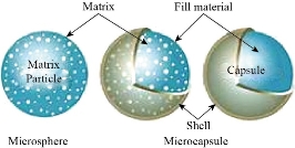 D:\xwu\Nano Biomedicine and Engineering\Articles for production\排版\2021\13（4）\【8】NBE-2021-0051 (交董排版 2021-12-16）\414-424\khat2.jpg