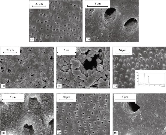 D:\xwu\Nano Biomedicine and Engineering\Articles for production\排版\2021\13（4）\【8】NBE-2021-0051 (交董排版 2021-12-16）\414-424\khat6.jpg