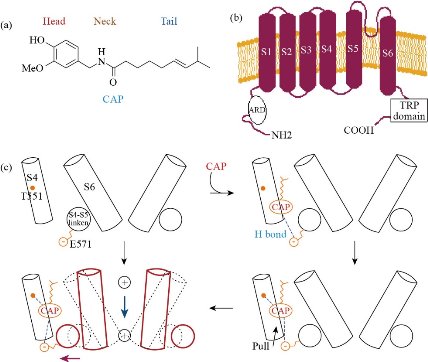 D:\xwu\Nano Biomedicine and Engineering\Articles for production\排版\2021\13（4）\【10】NBE-2020-0115 (author confirmation pending 12-12-17)\433-445\embt1.jpg